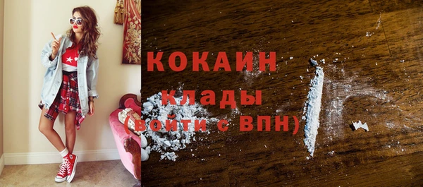 шишки Балахна