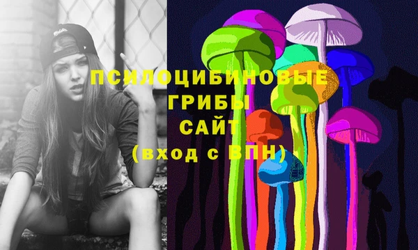 apvp Аркадак