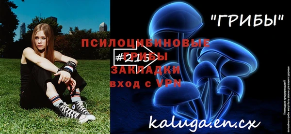 шишки Балахна