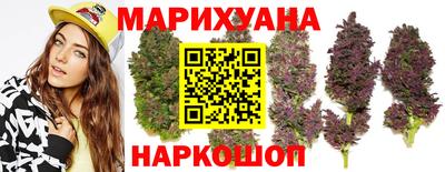 амф Дубна