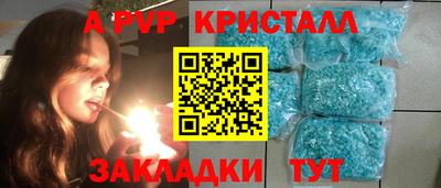прущие крисы Донской
