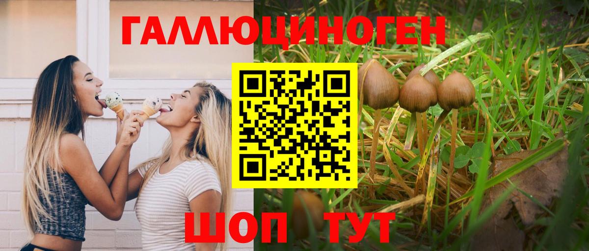 Кувандык  Галлюциногенные грибы ЛСД  Вход с VPN 
